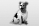 Urlaub mit Hund