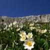 You have an eye for the beauty of nature? © Tourismusverband Alta Badia